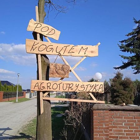 Agroturystyka Pod Kogutem Zamosc  Luaran gambar