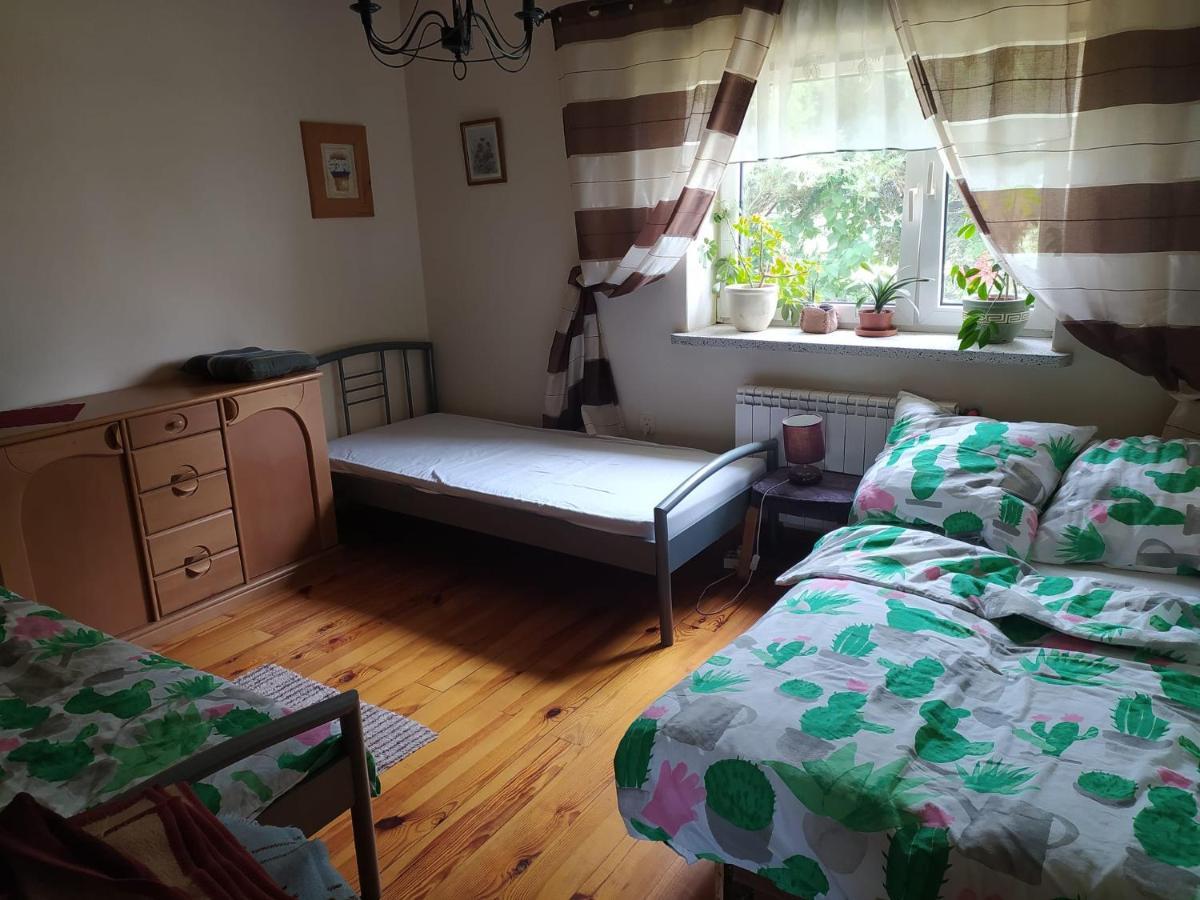 Agroturystyka Pod Kogutem Zamosc  Luaran gambar