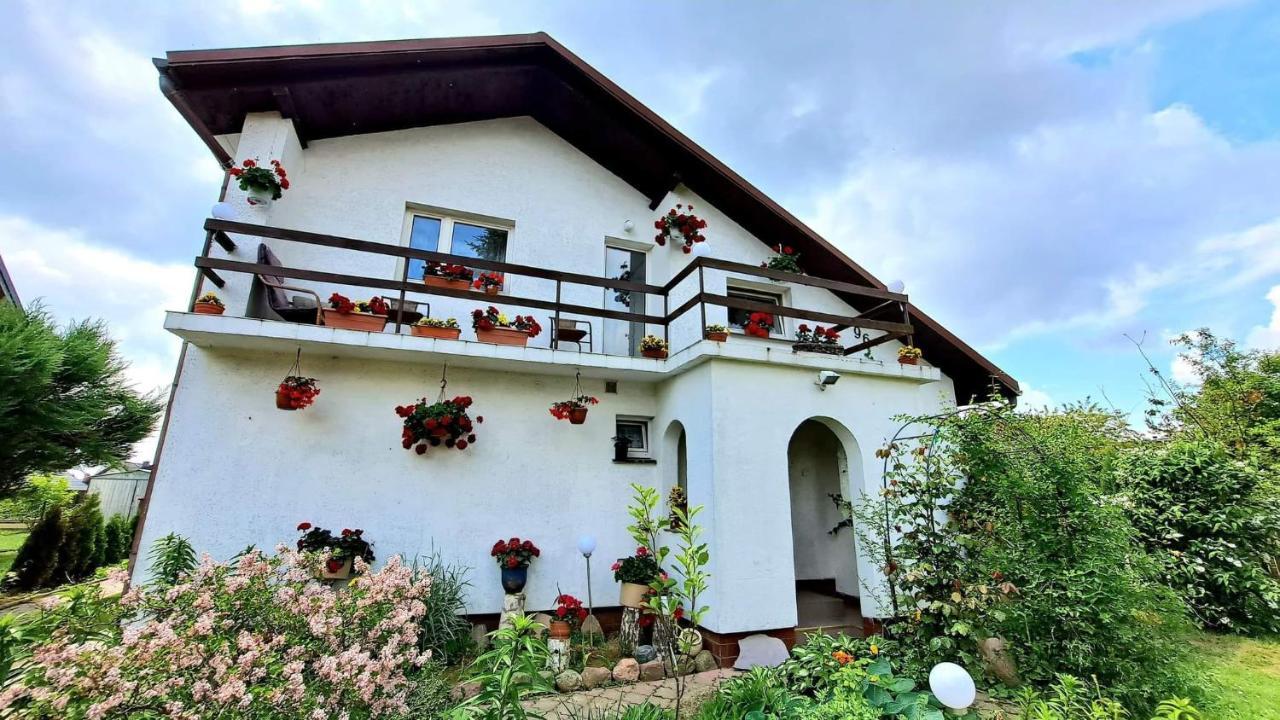 Agroturystyka Pod Kogutem Zamosc  Luaran gambar