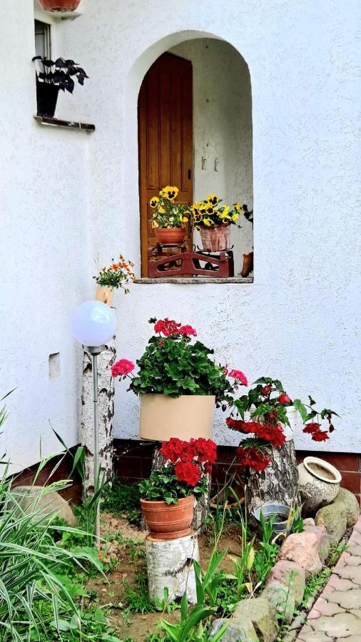 Agroturystyka Pod Kogutem Zamosc  Luaran gambar