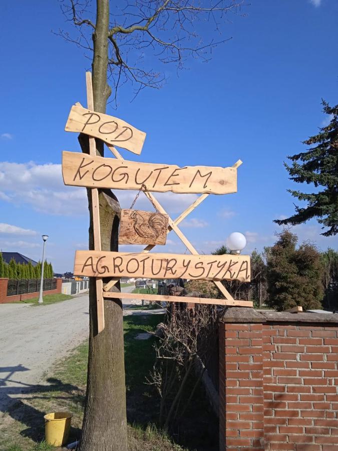 Agroturystyka Pod Kogutem Zamosc  Luaran gambar