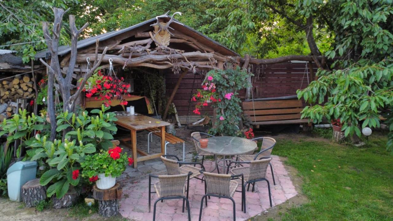 Agroturystyka Pod Kogutem Zamosc  Luaran gambar