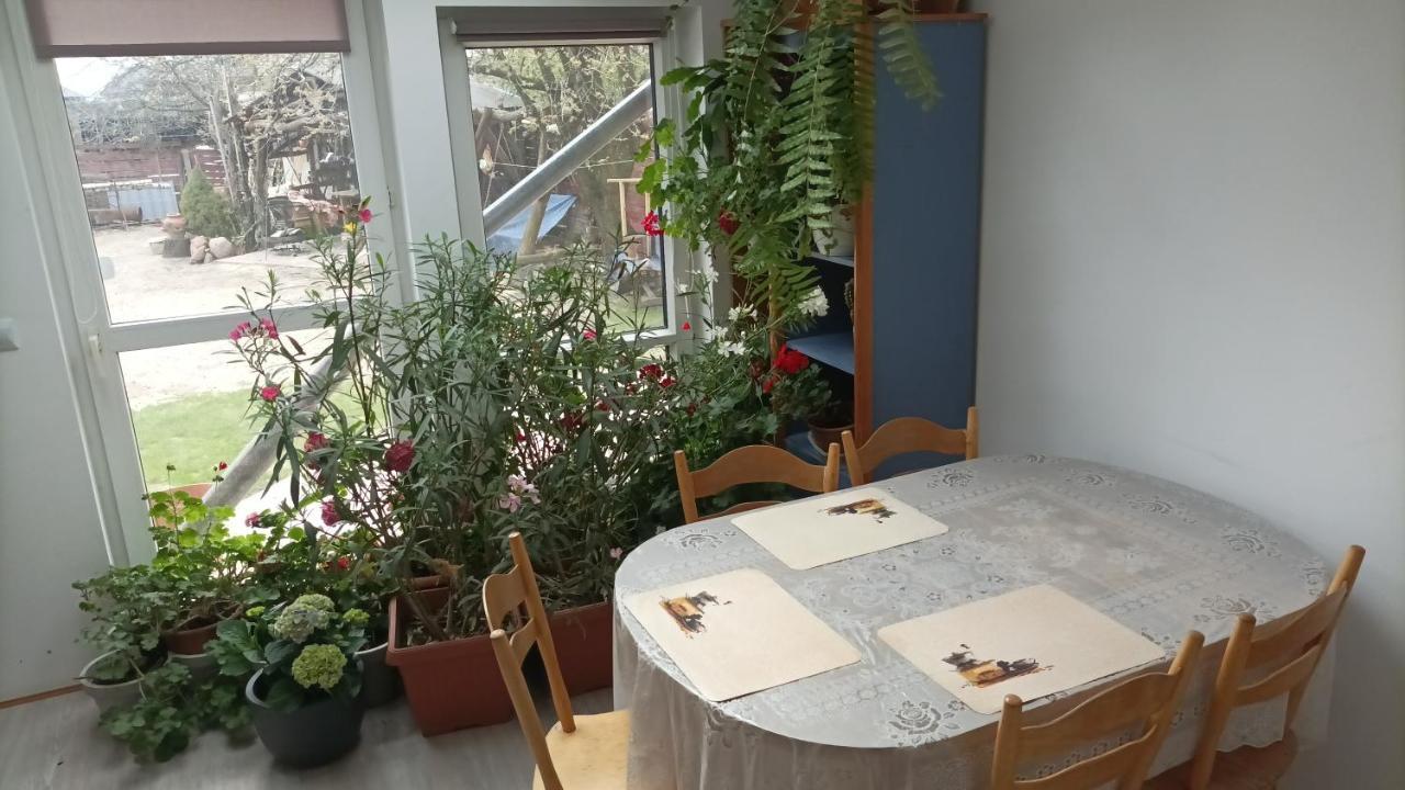Agroturystyka Pod Kogutem Zamosc  Luaran gambar