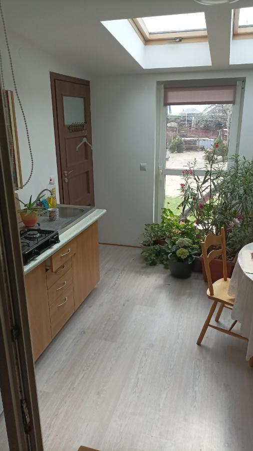 Agroturystyka Pod Kogutem Zamosc  Luaran gambar